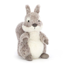 Load image into Gallery viewer, Jellycat Ambrosie friends
