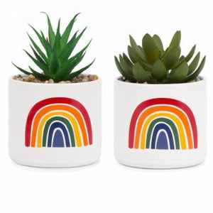 faux plants-rainbow pot with succulent